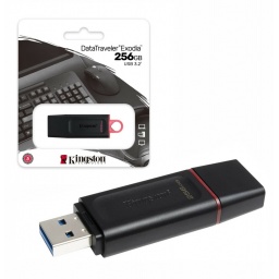 Pendrive Kingston DTX 256GB USB 3.2